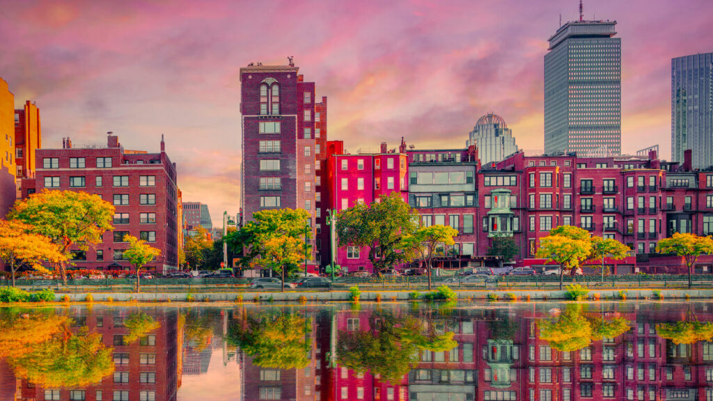 Boston Preferred Foliage