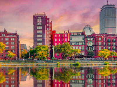 Boston Preferred Foliage